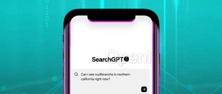 OpenAI 推出 SearchGPT：它能做什么以及怎么申请（openai codex）